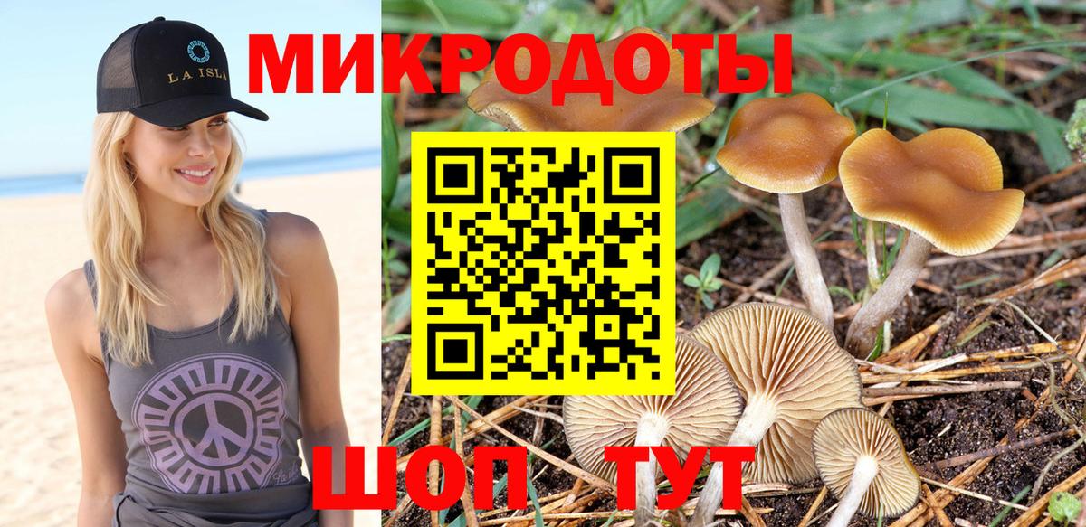 Галлюциногенные грибы Psilocybe Усть-Лабинск
